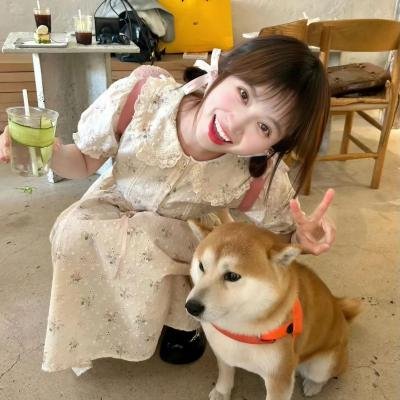 今日份的散步